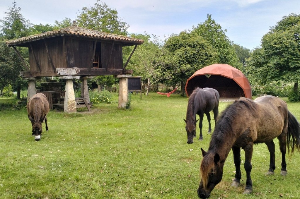 Ecomuseu - Ca L`Asturcón